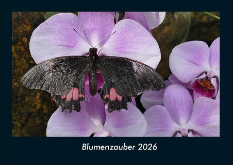 Blumenzauber 2026 Fotokalender DIN A4