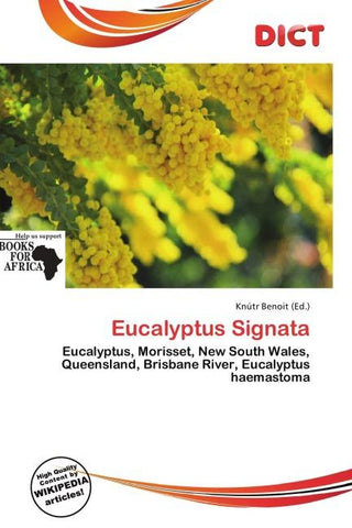 Eucalyptus Signata