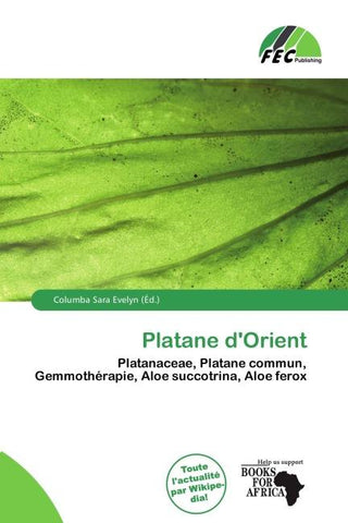 Platane d'Orient