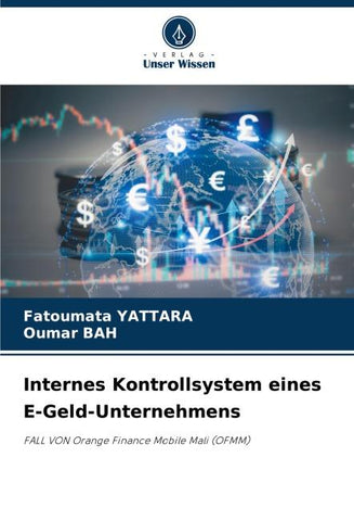 Internes Kontrollsystem eines E-Geld-Unternehmens