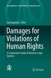 Damages for Violations of Human Rights