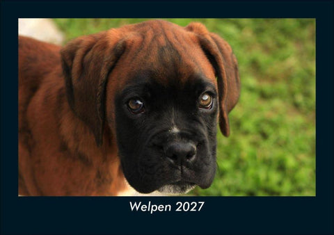 Welpen 2027 Fotokalender DIN A5