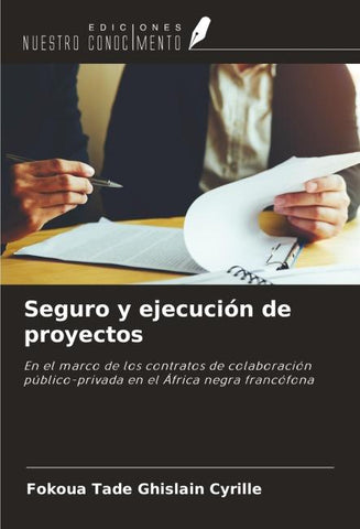 Seguro y ejecución de proyectos