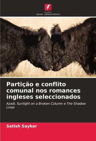 Partição e conflito comunal nos romances ingleses seleccionados