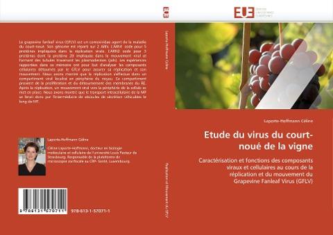 Etude  du virus du court-noué de la vigne