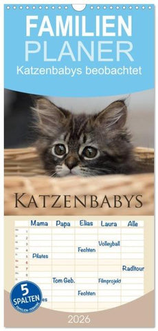 Familienplaner 2026 - Katzenbabys beobachtet mit 5 Spalten (Wandkalender, 21 x 45 cm) CALVENDO