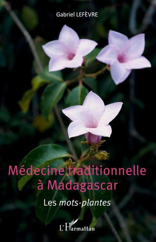Médecine traditionnelle à Madagascar
