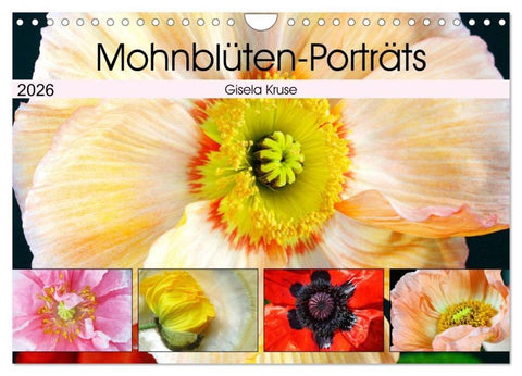 Mohnblüten-Porträts (Wandkalender 2026 DIN A4 quer), CALVENDO Monatskalender