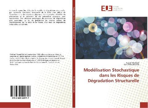 Modélisation Stochastique dans les Risques de Dégradation Structurelle