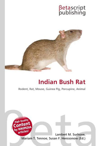 Indian Bush Rat