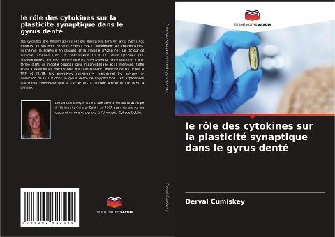 le rôle des cytokines sur la plasticité synaptique dans le gyrus denté