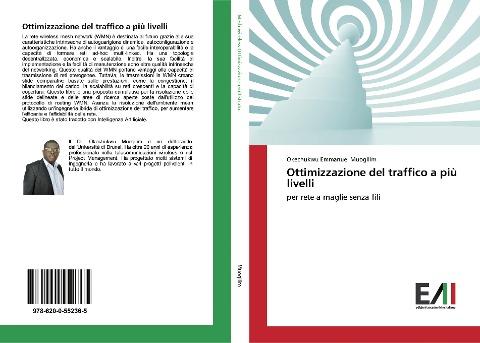 Ottimizzazione del traffico a più livelli