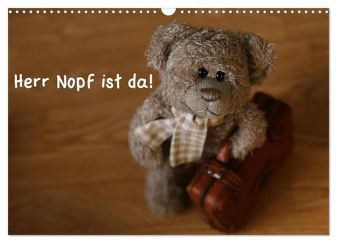 Herr Nopf ist da! (Wandkalender 2026 DIN A3 quer), CALVENDO Monatskalender