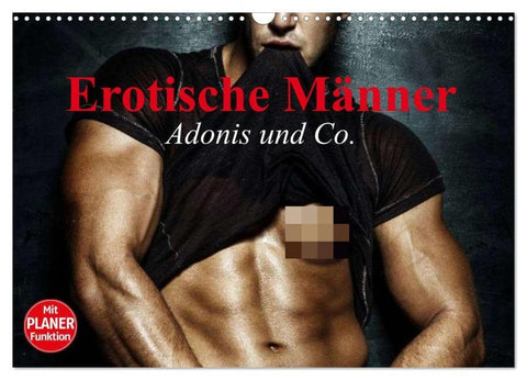 Erotische Männer. Adonis und Co. (Wandkalender 2026 DIN A3 quer), CALVENDO Monatskalender