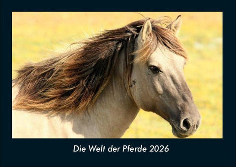 Die Welt der Pferde 2026 Fotokalender DIN A4