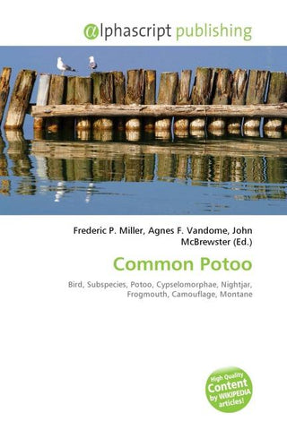Common Potoo
