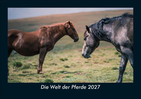 Die Welt der Pferde 2027 Fotokalender DIN A5