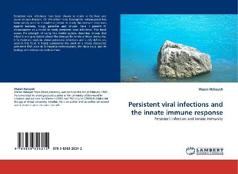 Persistent viral infections and the innate immune response
