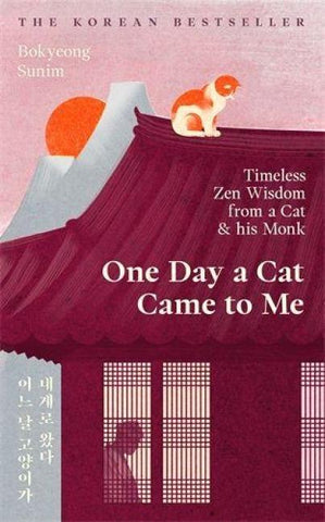 One Day a Cat Came to Me