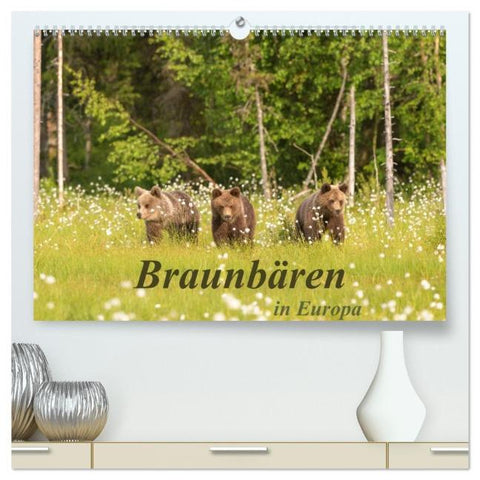 Braunbären in Europa (hochwertiger Premium Wandkalender 2026 DIN A2 quer), Kunstdruck in Hochglanz
