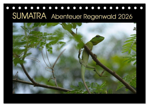 SUMATRA Abenteuer Regenwald (Tischkalender 2026 DIN A5 quer), CALVENDO Monatskalender