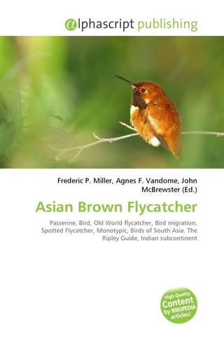 Asian Brown Flycatcher