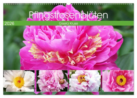 Pfingstrosenblüten (Wandkalender 2026 DIN A2 quer), CALVENDO Monatskalender