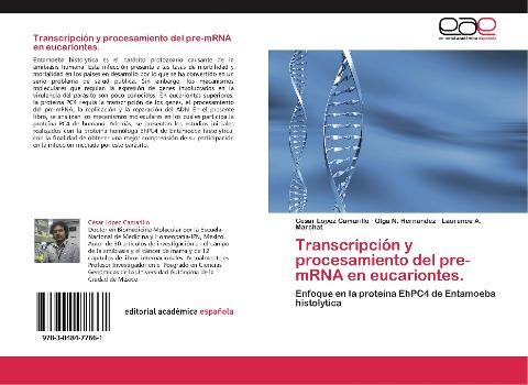 Transcripción y procesamiento del pre-mRNA en eucariontes.