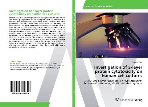 Investigation of S-layer protein cytotoxicity on human cell cultures