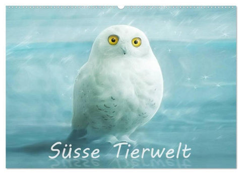 Süsse Tierwelt / CH-Version / Geburtstagskalender (Wandkalender 2026 DIN A2 quer), CALVENDO Monatskalender