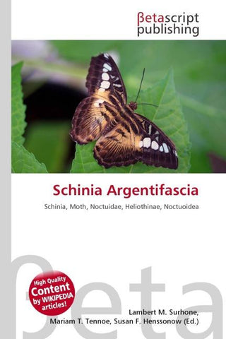 Schinia Argentifascia