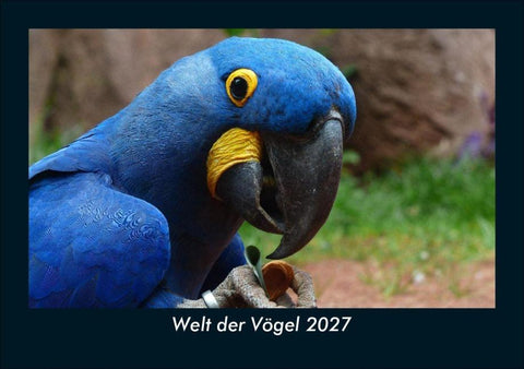 Welt der Vögel 2027 Fotokalender DIN A5