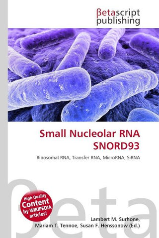 Small Nucleolar RNA SNORD93