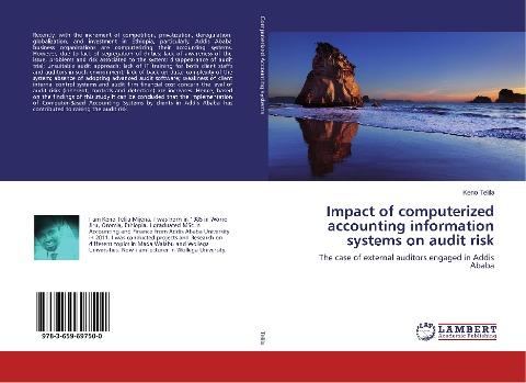 Impact of computerized accounting information systems on audit risk