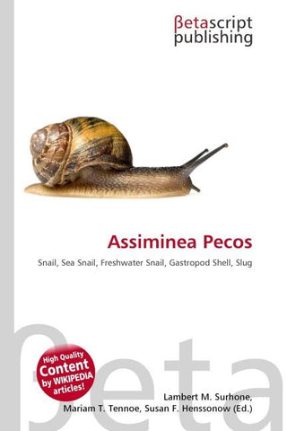 Assiminea Pecos