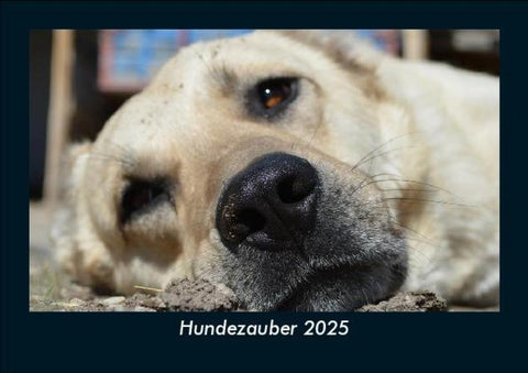 Hundezauber 2025 Fotokalender DIN A5