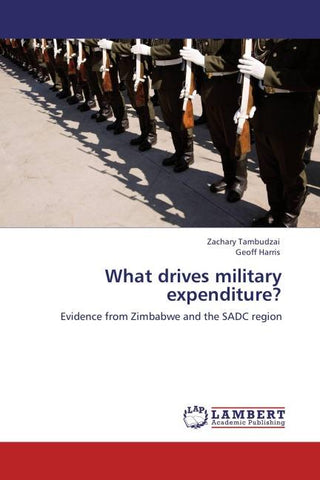 What drives military expenditure?