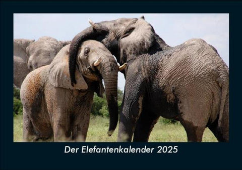 Der Elefantenkalender 2025 Fotokalender DIN A5