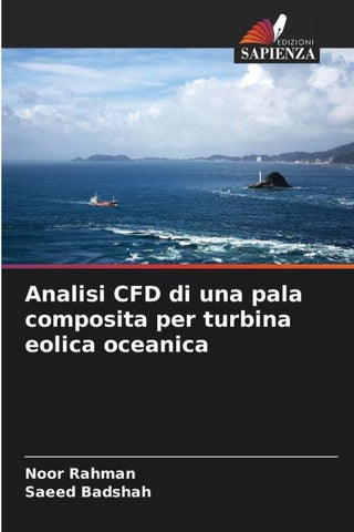 Analisi CFD di una pala composita per turbina eolica oceanica