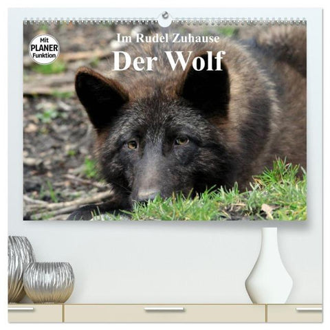 Im Rudel Zuhause - Der Wolf (hochwertiger Premium Wandkalender 2026 DIN A2 quer), Kunstdruck in Hochglanz