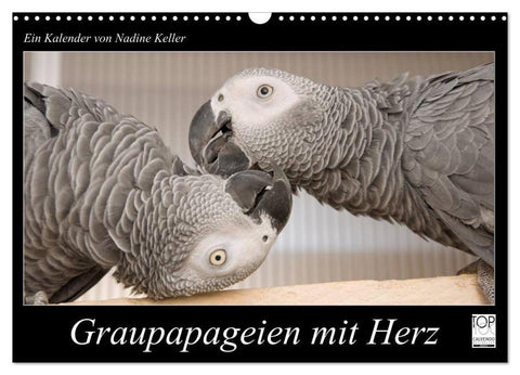 Graupapageien mit Herz (Wandkalender 2026 DIN A3 quer), CALVENDO Monatskalender