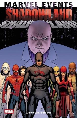 Marvel Events: Shadowland