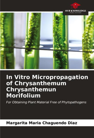 In Vitro Micropropagation of Chrysanthemum Chrysanthemun Morifolium