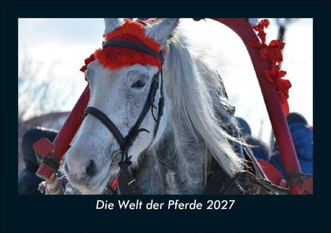 Die Welt der Pferde 2027 Fotokalender DIN A5