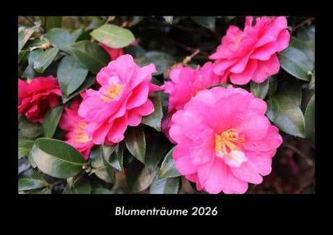 Blumenträume 2026 Fotokalender DIN A3