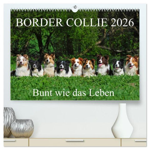 Border Collie 2026 (hochwertiger Premium Wandkalender 2026 DIN A2 quer), Kunstdruck in Hochglanz