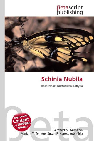 Schinia Nubila