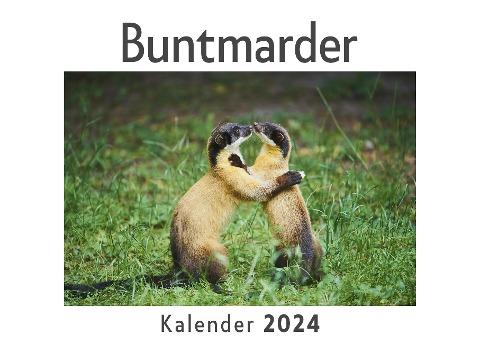 Buntmarder (Wandkalender 2024, Kalender DIN A4 quer, Monatskalender im Querformat mit Kalendarium, Das perfekte Geschenk)