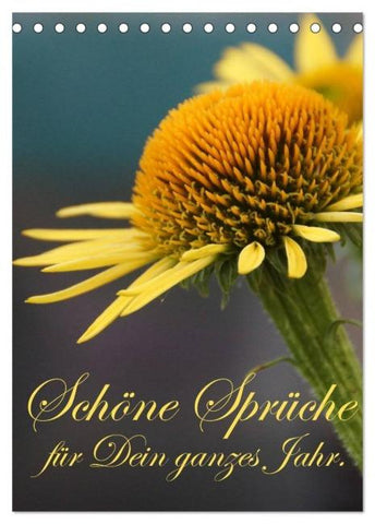 Schöne Sprüche für Dein ganzes Jahr (Tischkalender 2026 DIN A5 hoch), CALVENDO Monatskalender