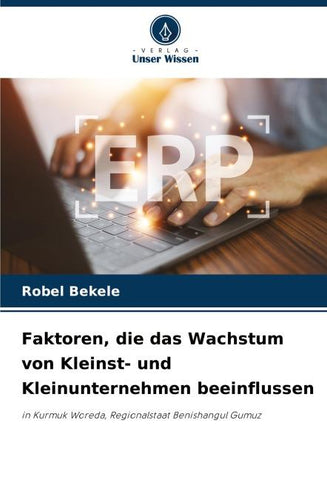 Faktoren, die das Wachstum von Kleinst- und Kleinunternehmen beeinflussen